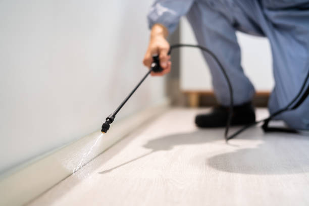 Licensed Pest Control service in Booneville, MS - Show Me Pest Control