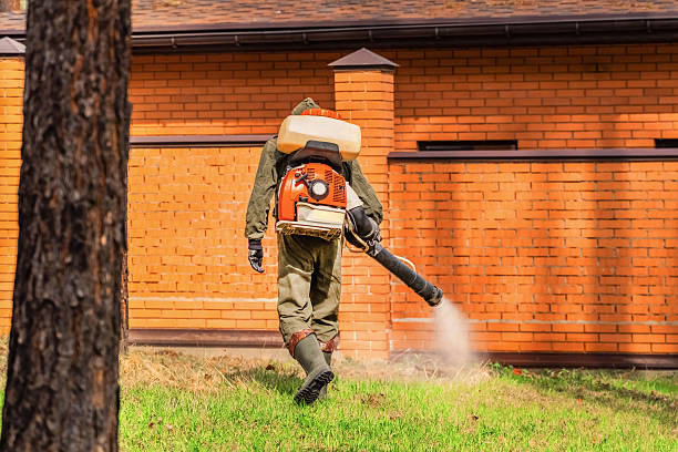Bed Bug Clearance Verification and Documentation in Booneville